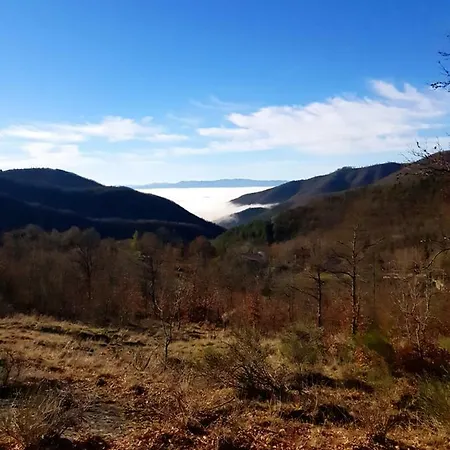 Battuta 3* Sansepolcro