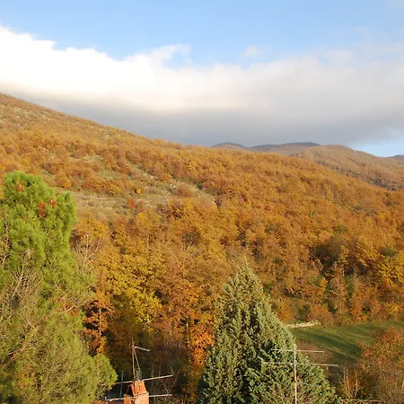 Bed and Breakfast Battuta Sansepolcro
